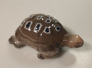 Porcelánová želva 