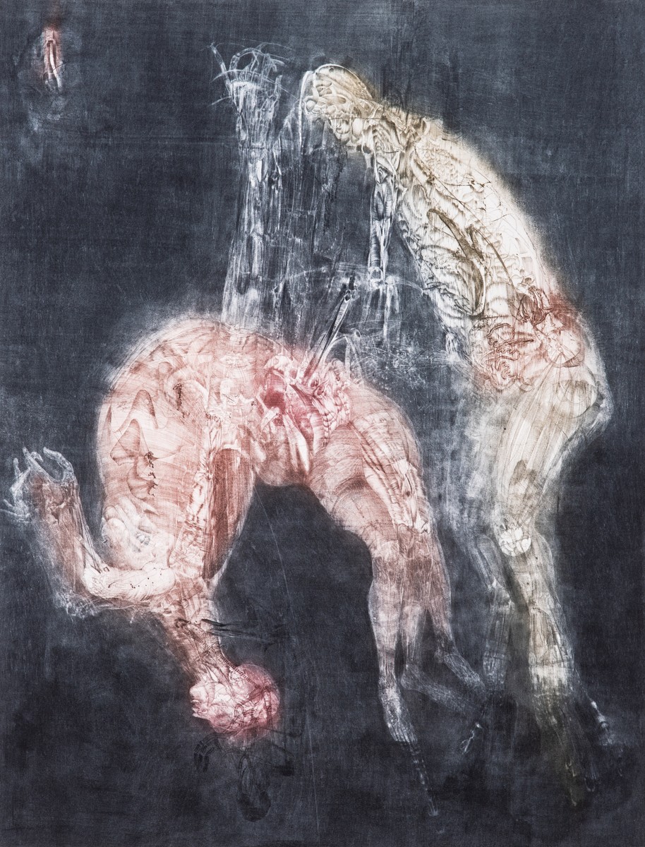 Anderle Jiří (1936-)