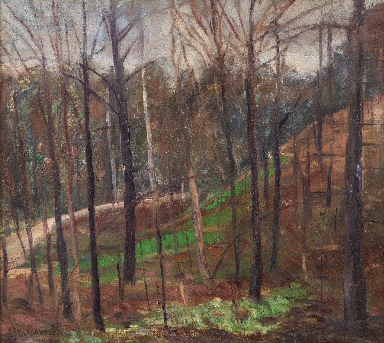 Havelka Roman (1877-1950)