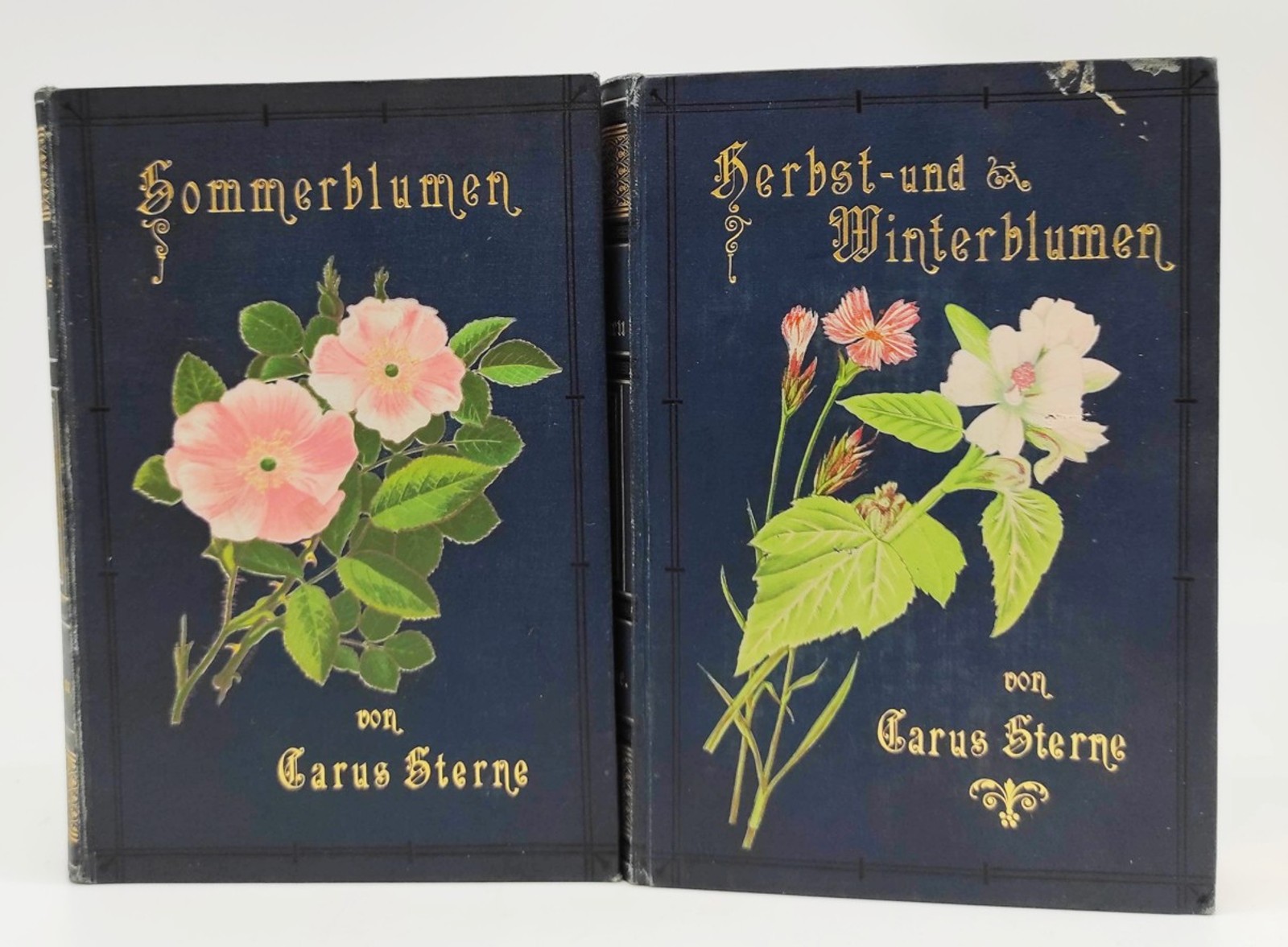 Herbář – letní květiny