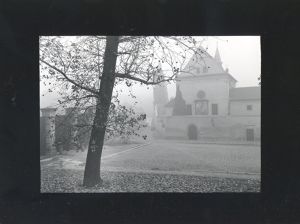 Jan Reich