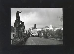 Jan Reich