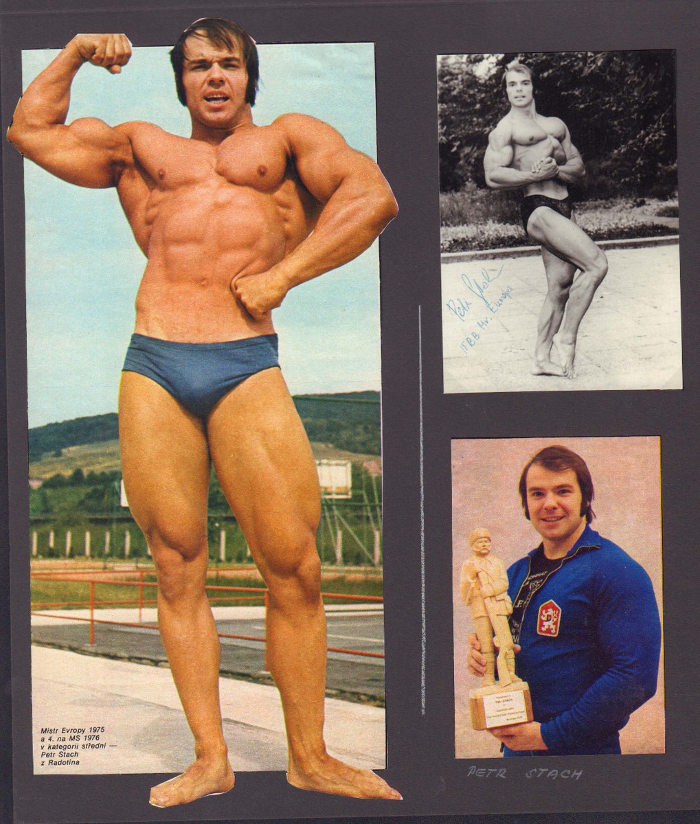 Stach Petr (1949 - 2015)