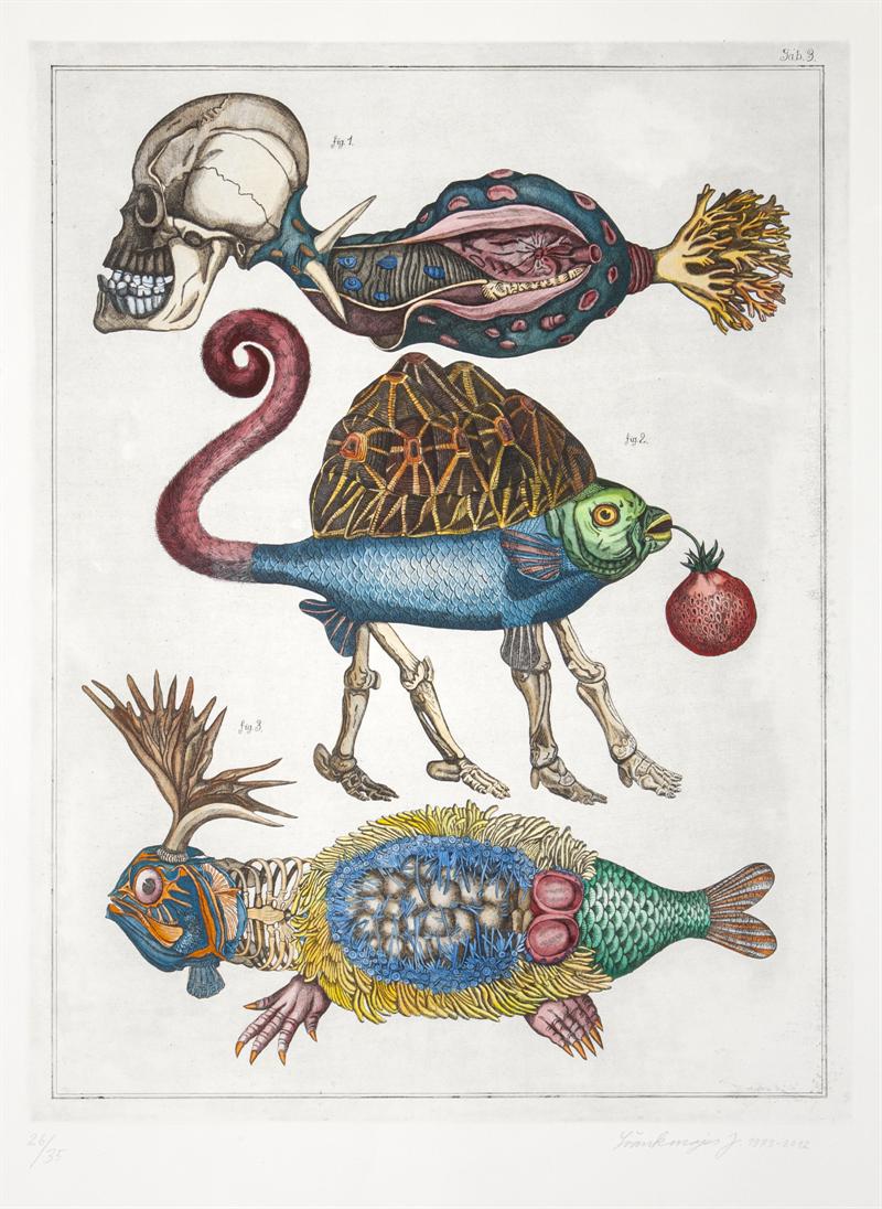 Švankmajer Jan - Z cyklu Přírodopis II