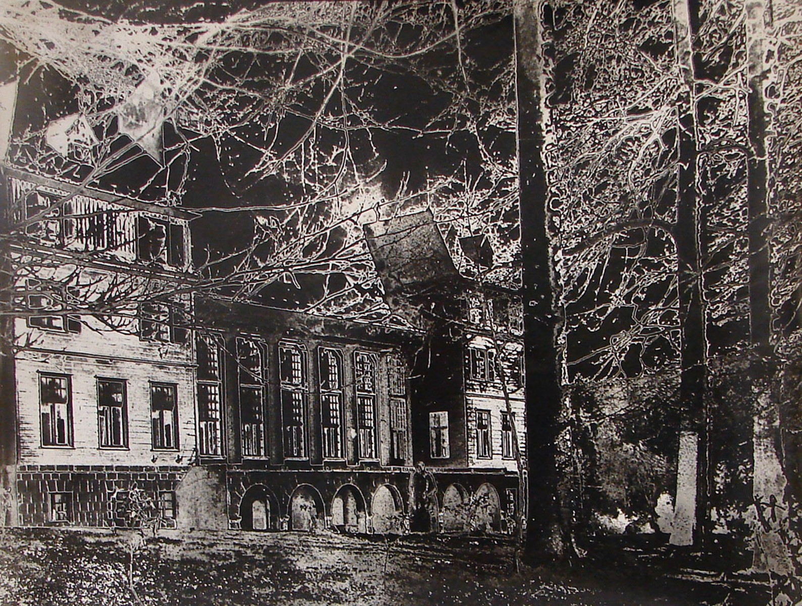 Gribovský Antonín