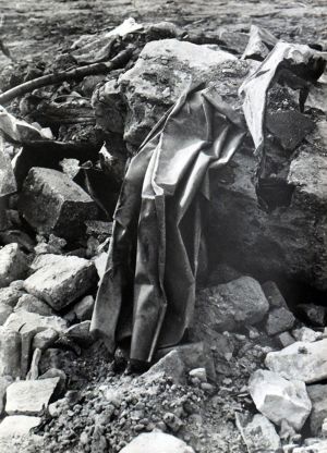 Medková Emila