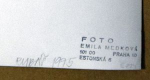 Medková Emila