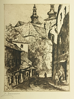 Zdenka Braunerová (1858 - 1934)