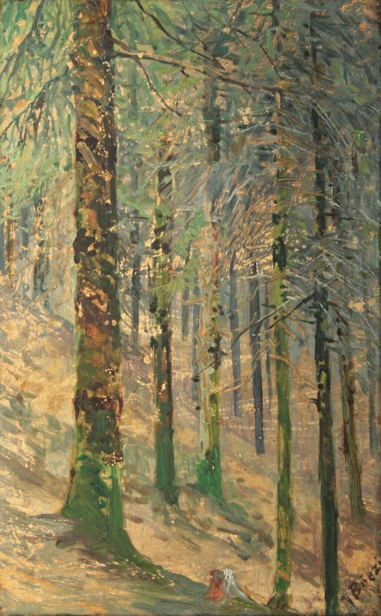 Březina Václav (1862-1906)