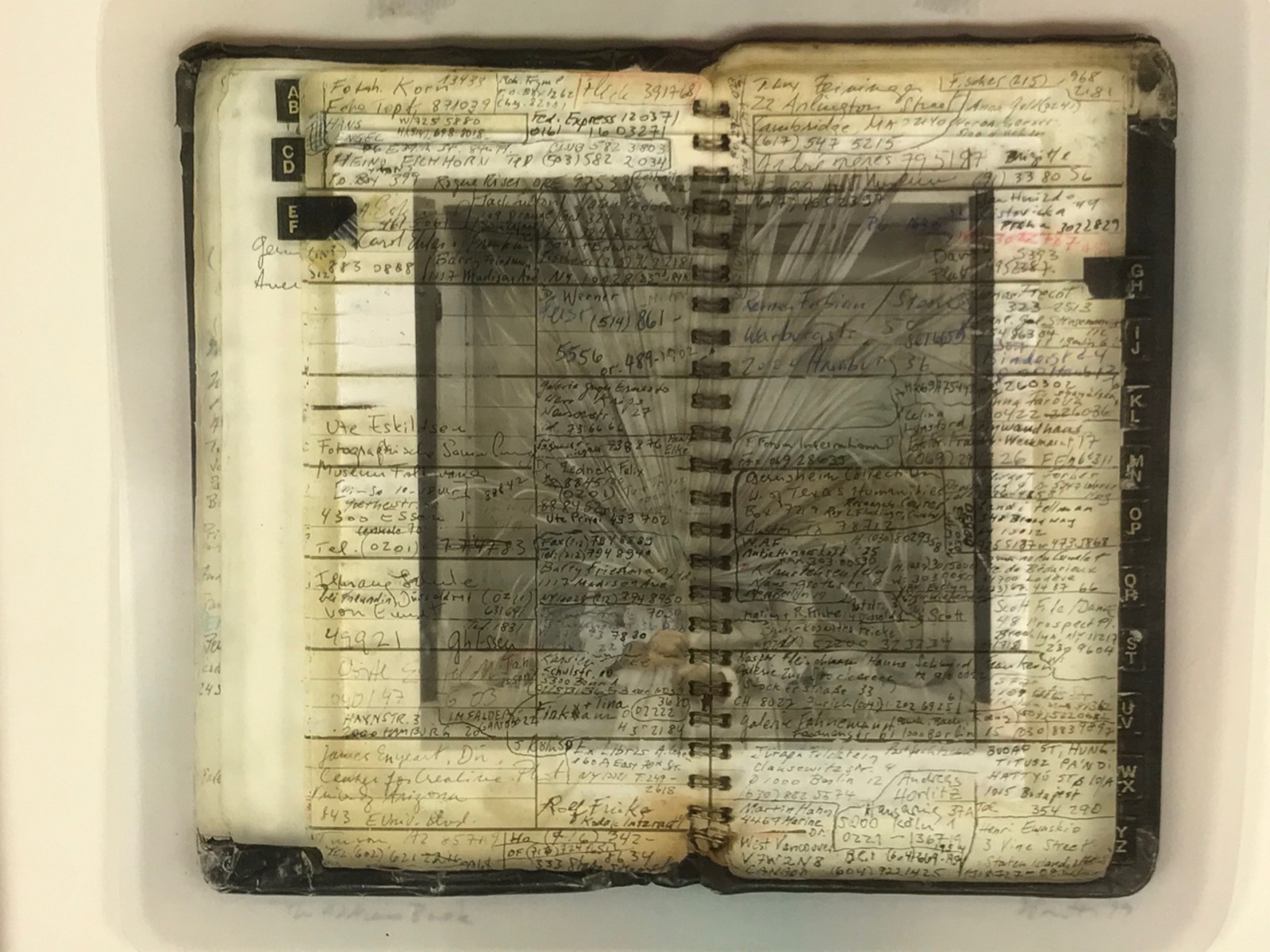 Suzanne Pastor (1952)