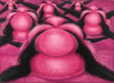 Xenia Hoffmeisterová (1958)