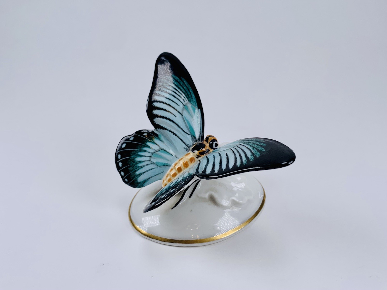 Motýl | Německo-Selb | Rosenthal