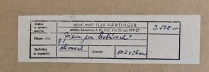 Hartinger Ilja