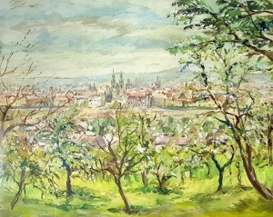 Černý Josef D.