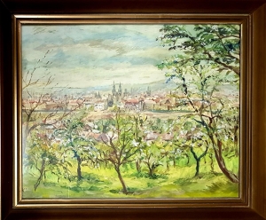 Černý Josef D.