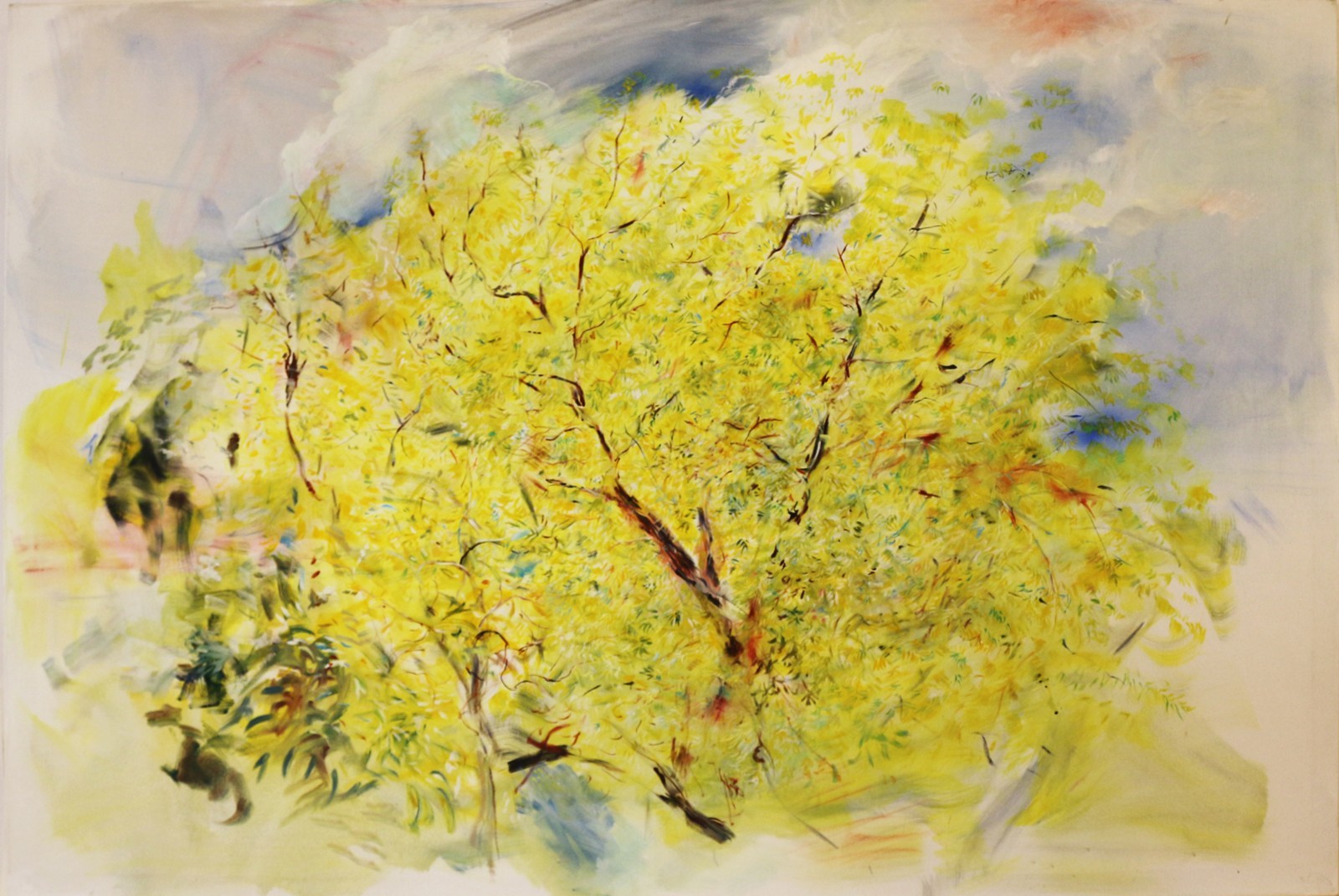 Mutina Petr (*1986) - Strom