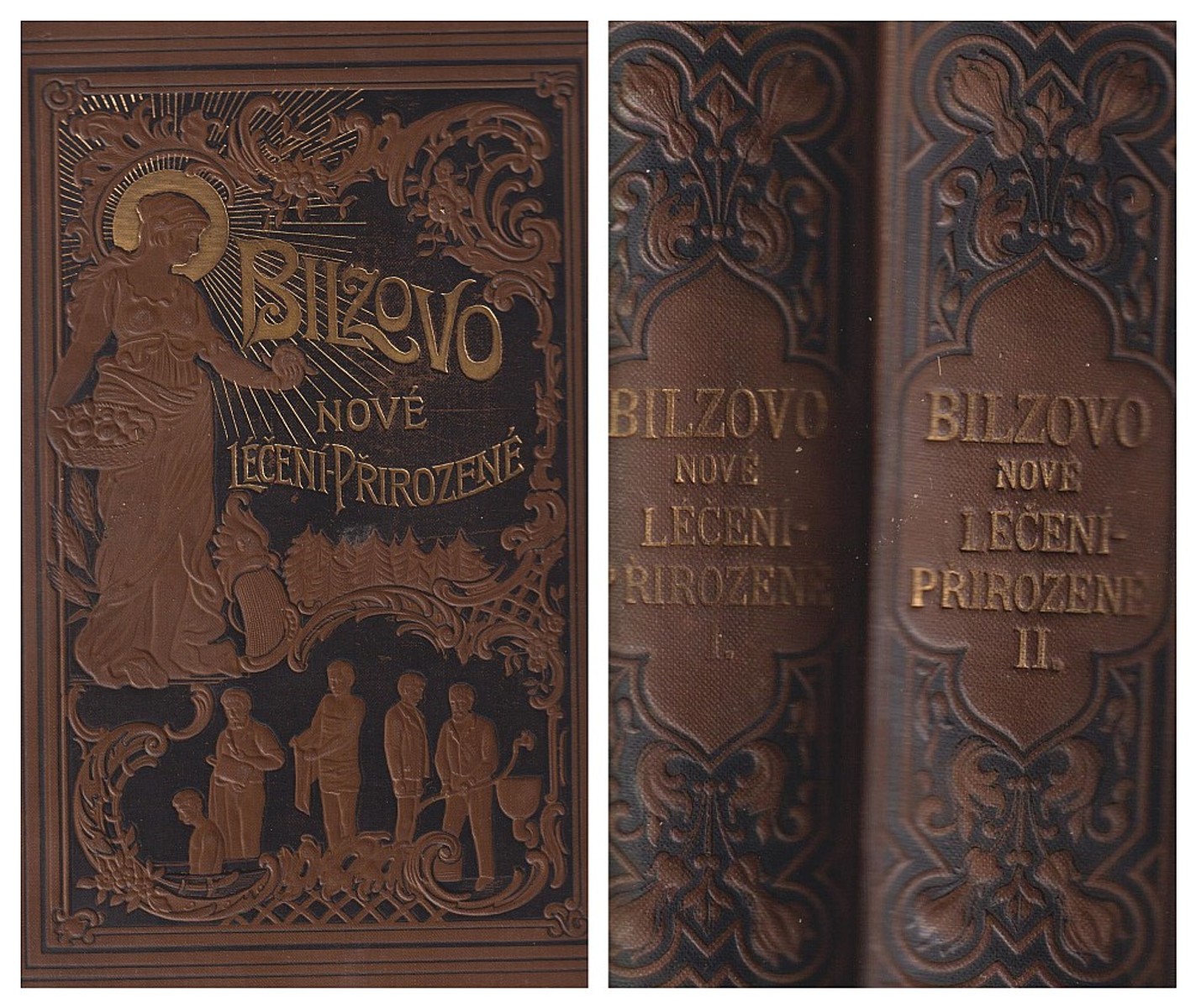 Friedrich Eduard Bilz - Bilzovo nové léčení - přirozené