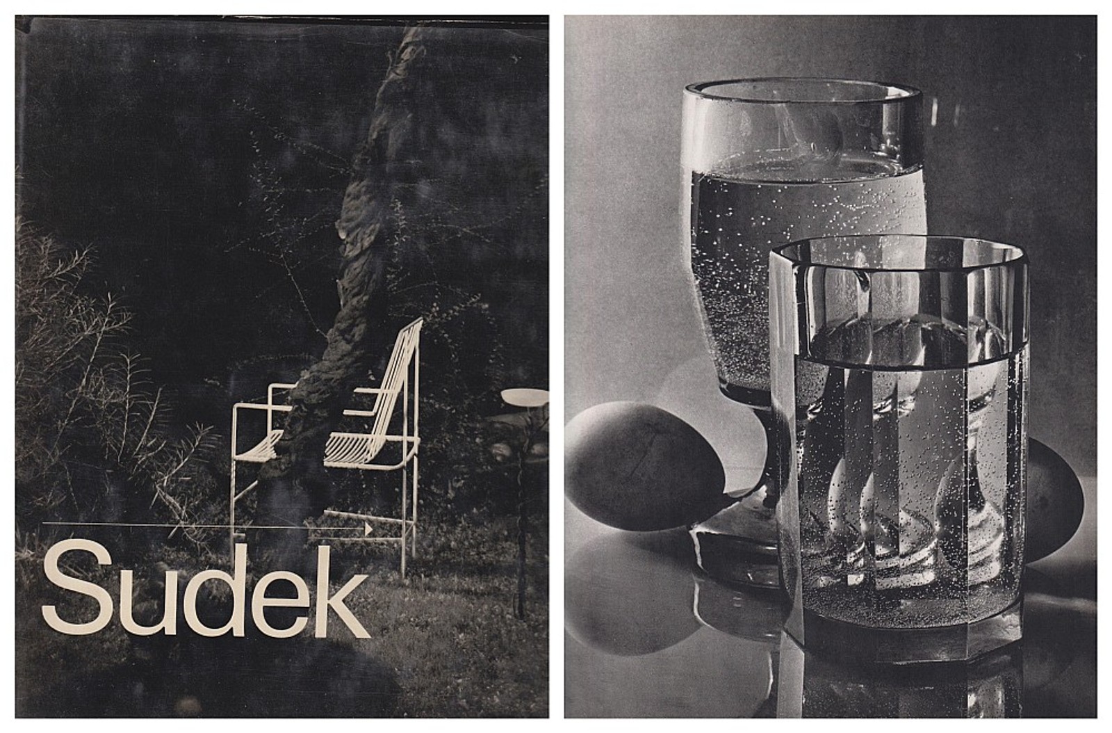 Josef Sudek - Jan Řezáč - Sudek