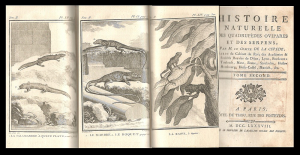 Georges Luis Leclerc de Buffon - Histoire Naturelle des Quadrupèdes Ovipares et des Serpens. Tom. II. Quadrupedes