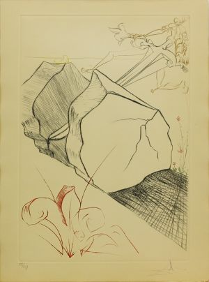 Salvador Dalí