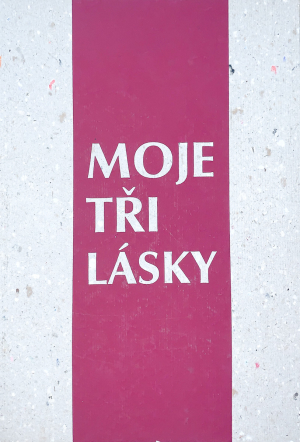Karel Žižkovský