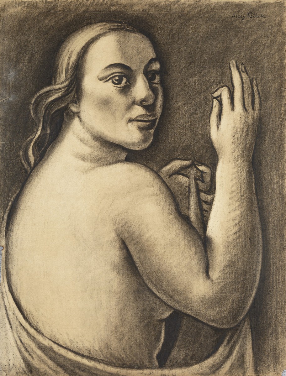 Minařík Jan Bedřich - Peruc