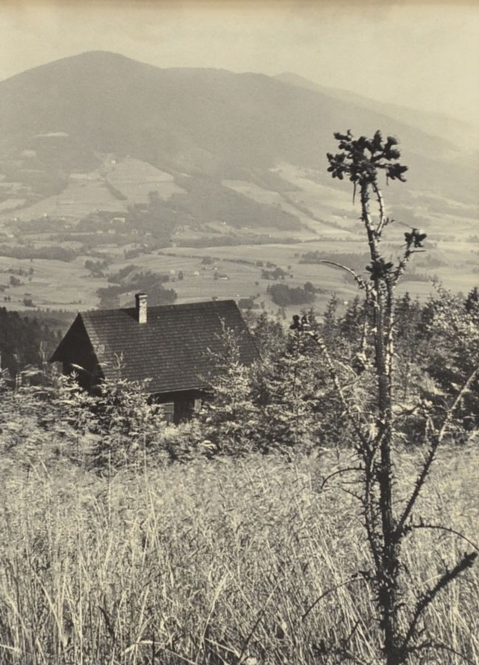 Janda Rudolf