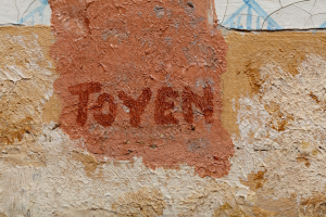 Toyen (Marie Čermínová)