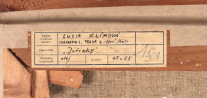 Lucie Klímová