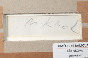 Knížák Milan