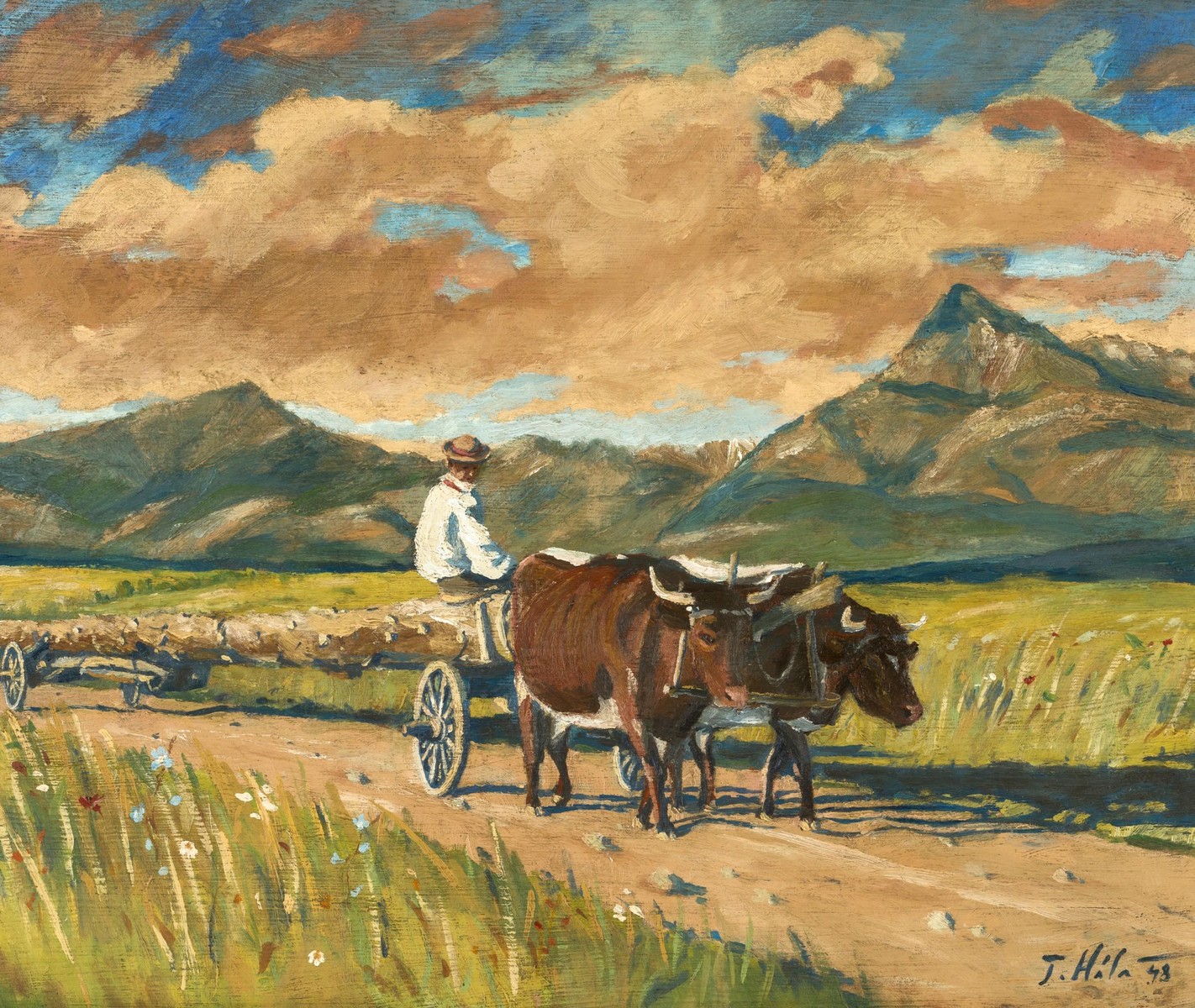 Ján Hála - Domov z poľa