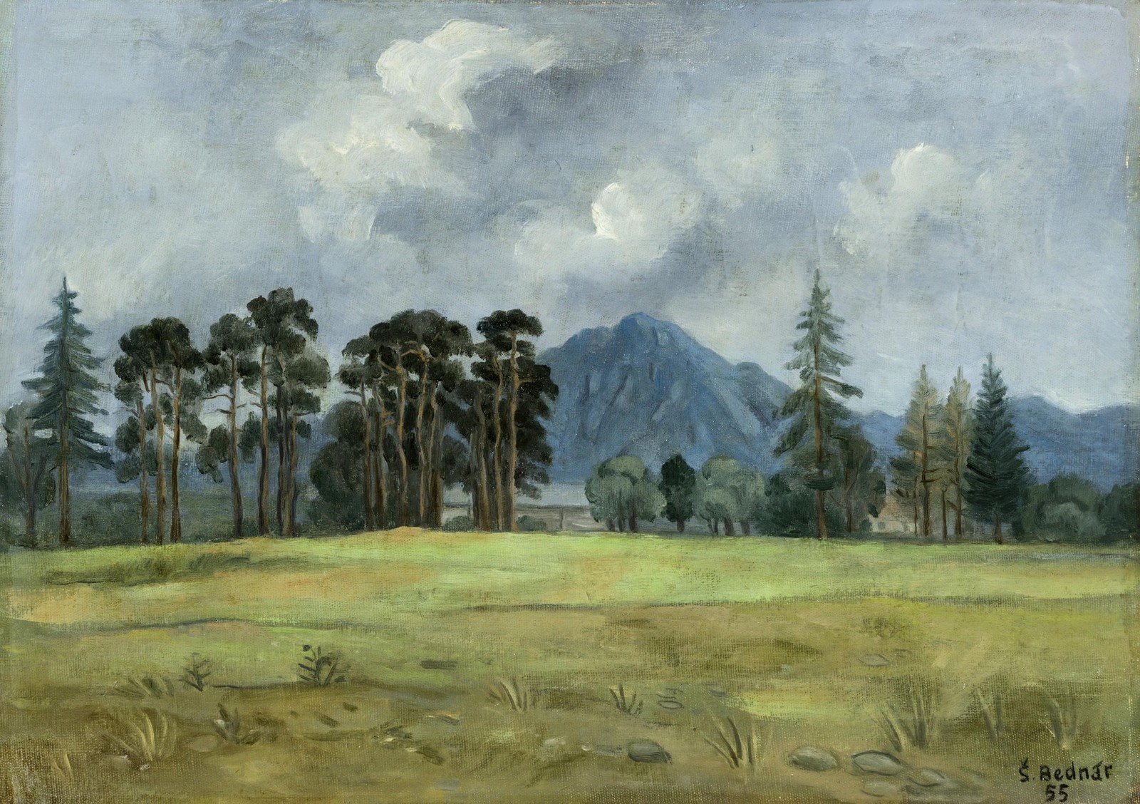 Štefan Bednár - Letná krajina