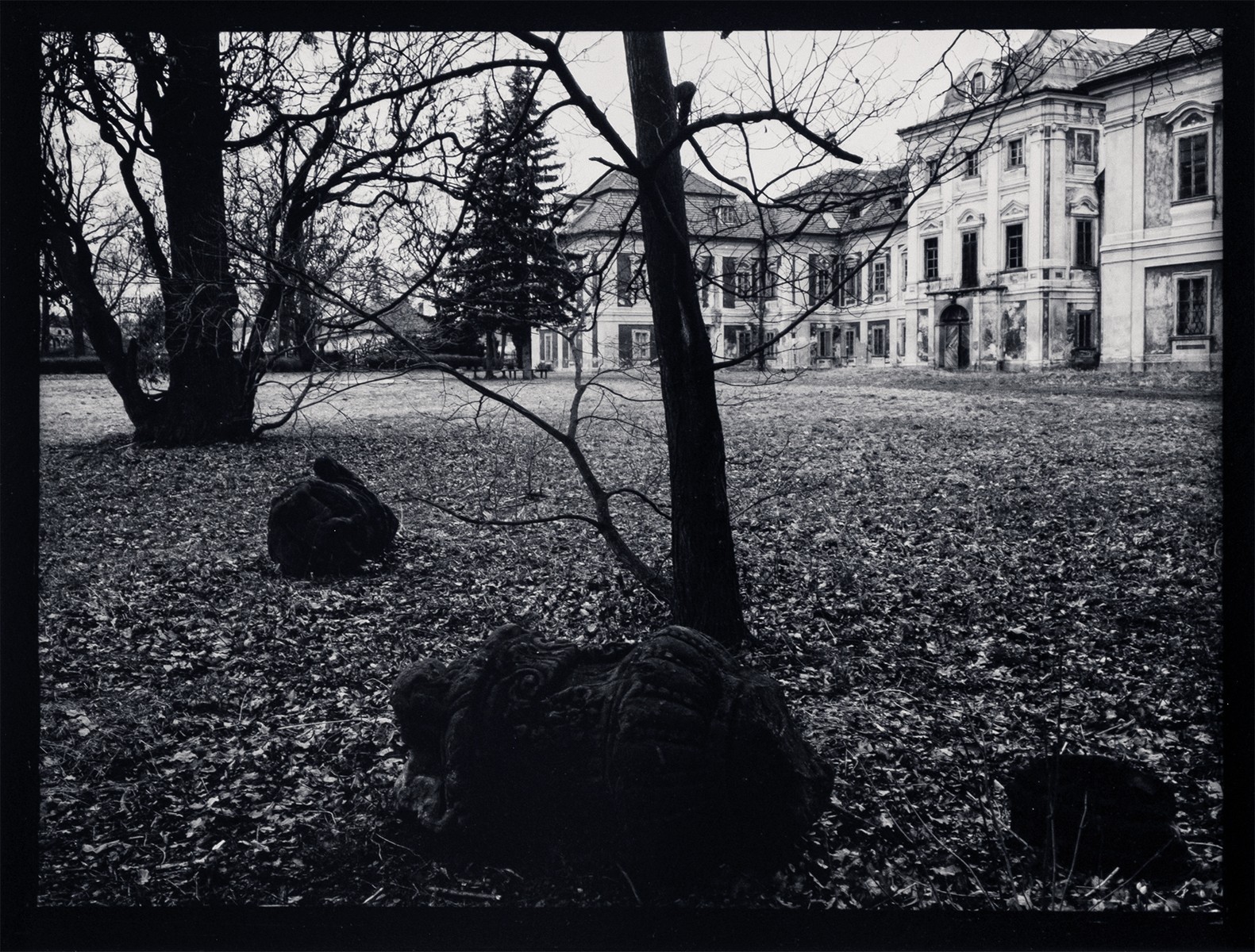 Jan Reich - (1942 - 2009)