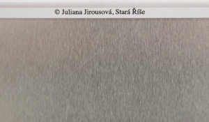 Juliana Jirousová - (*1943)