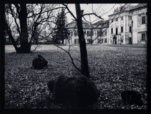 Jan Reich - (1942 - 2009)