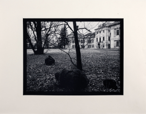 Jan Reich - (1942 - 2009)