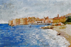 STRNAD PETR