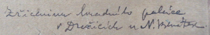 KONSTANTIN BUŠEK (1861-1938) - ZŘÍCENINY HRADNÍHO PALÁCE DRAŽICE, PEROKRESBA