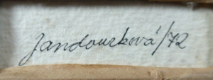 VĚRA JANDOURKOVÁ ( NAR. 1948 ) - JEŽIBABA