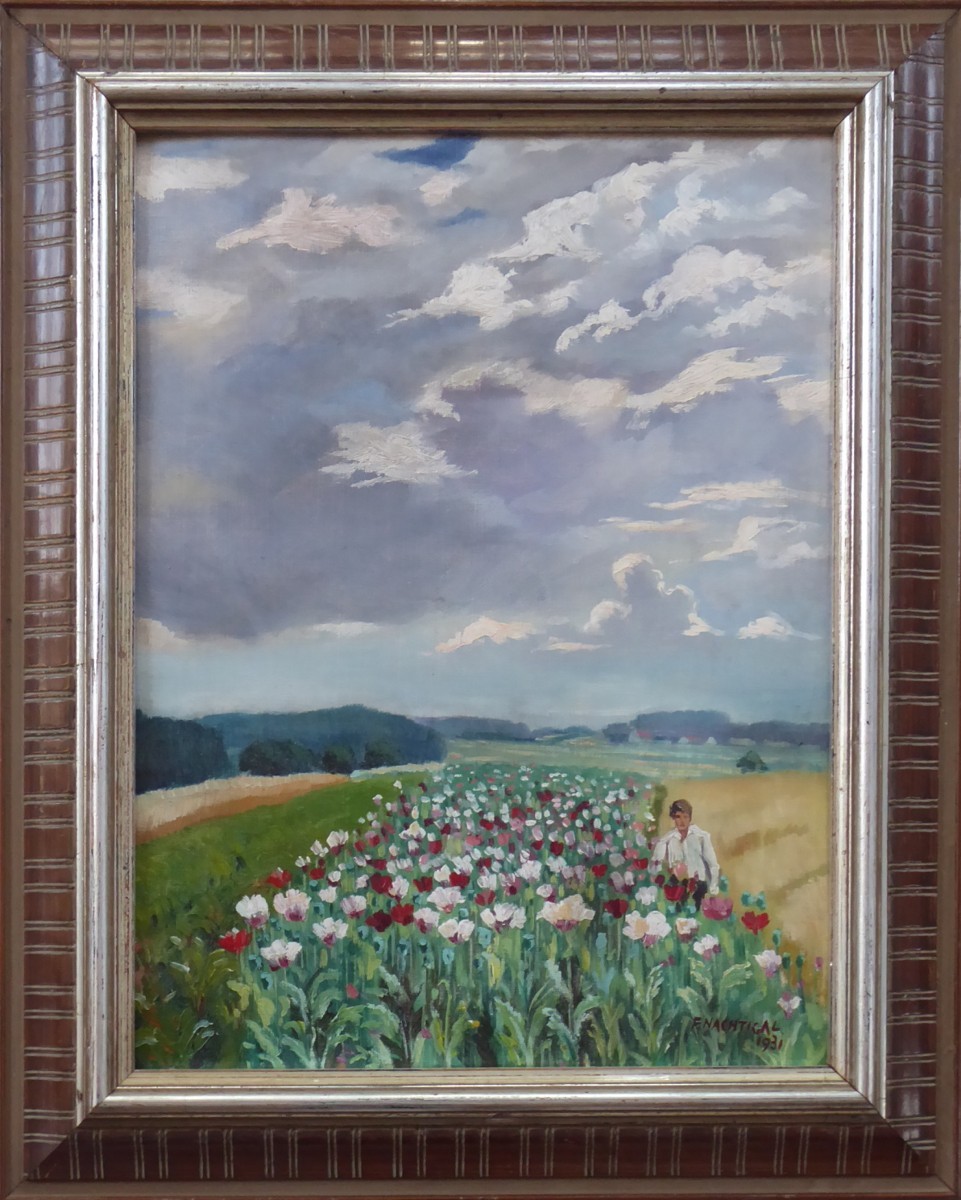 FRANTIŠEK NACHTIGAL ( 1894 - 1956 ) - MLÁDENEC U MAKOVÉHO POLE