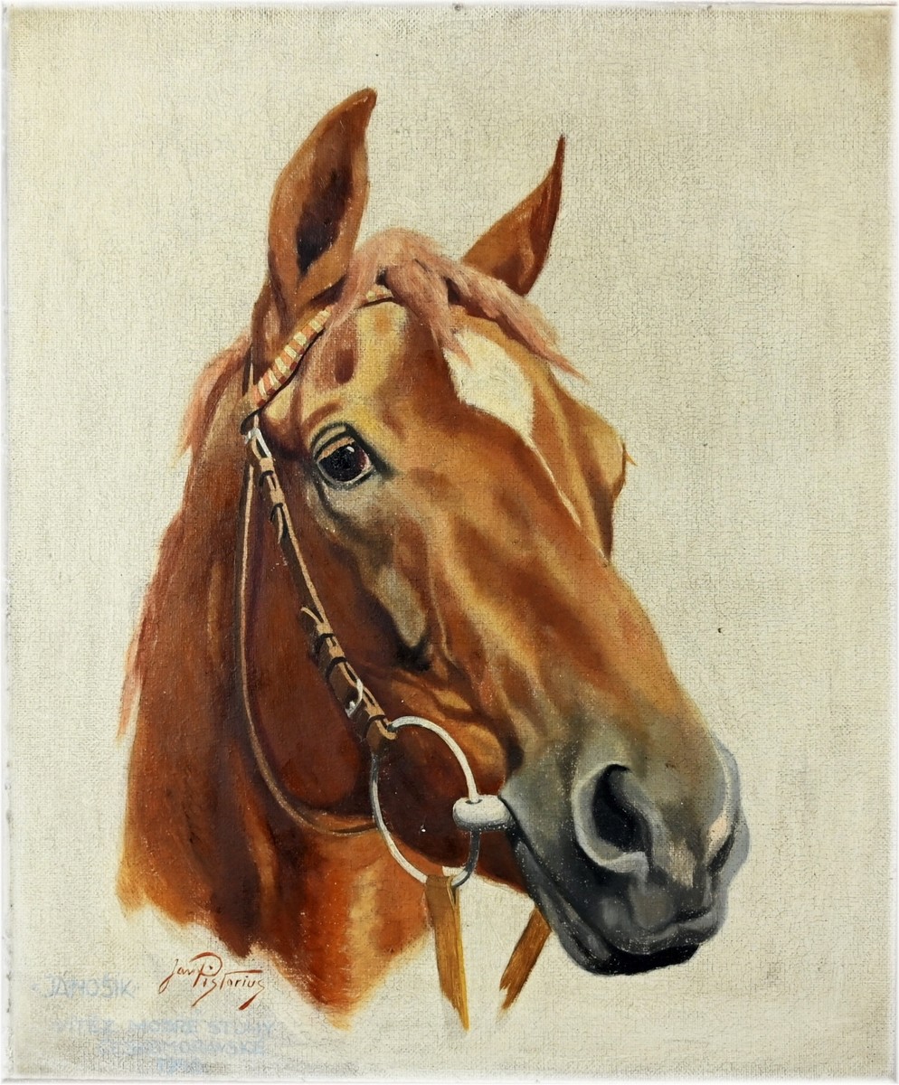 Pistorius Jan 1899 -1985), Jánošík -vítěz velké stuhy Českomoravské 1940