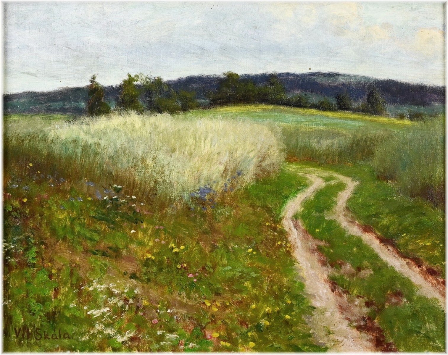 Skála Vít (1883 - 1967) , Polní cesta