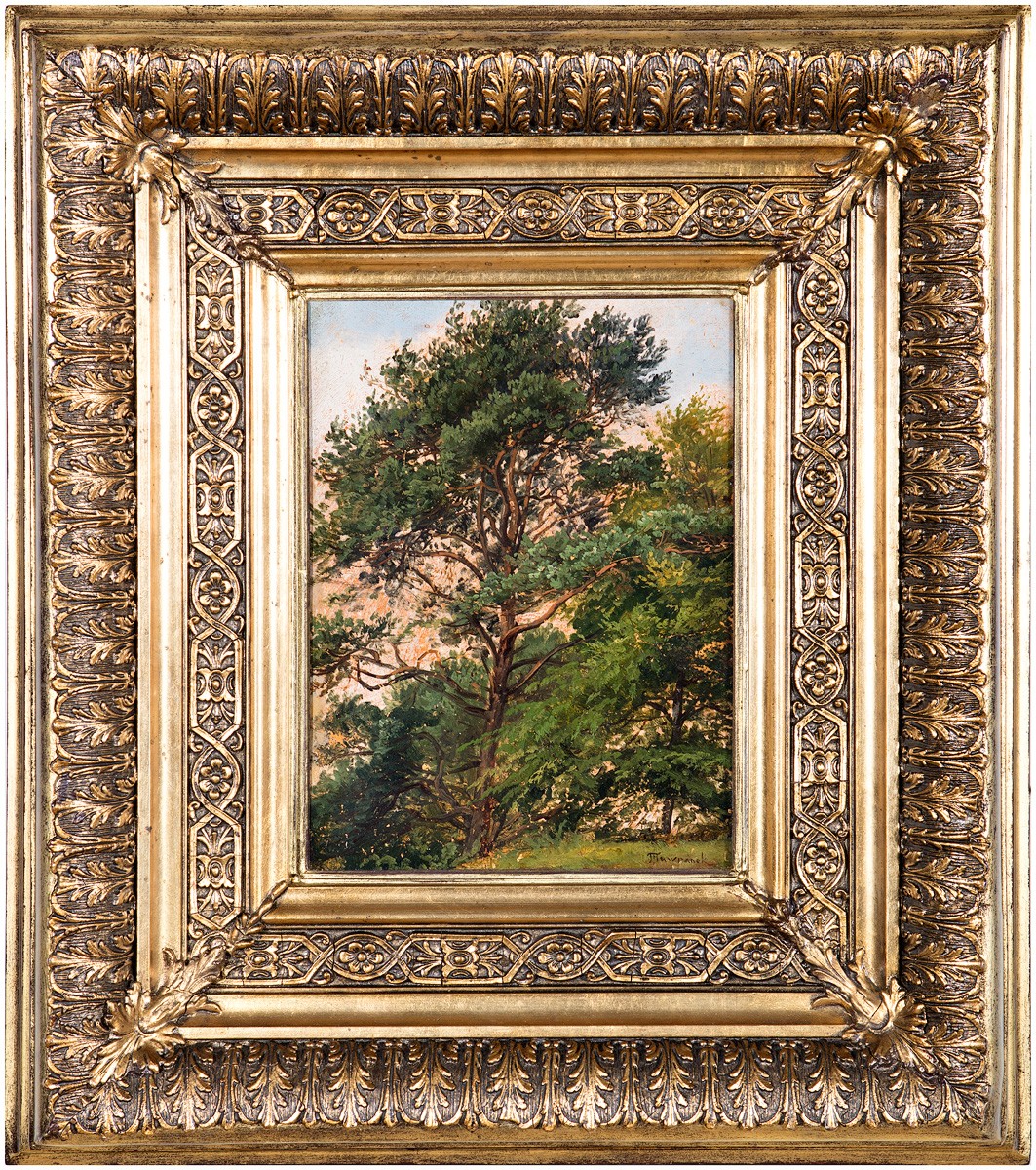 Havránek Bedřich | Studie listnatých stromů