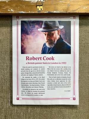 Cook Robert | Clown at the Rio carneval