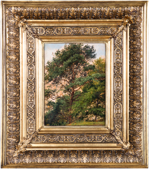 Havránek Bedřich | Studie listnatých stromů