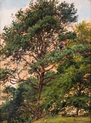 Havránek Bedřich | Studie listnatých stromů