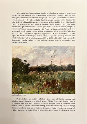 Braunerová Zdenka | Při okraji louky