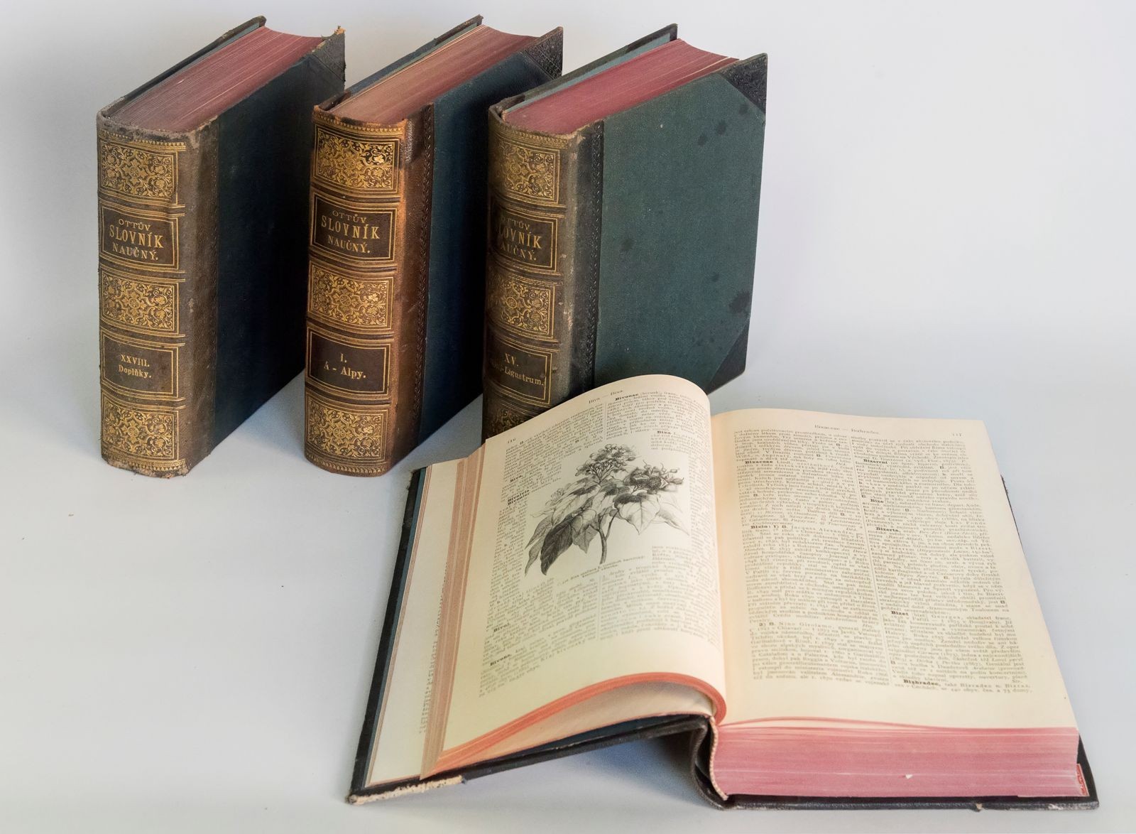 "Ottův slovník naučný"