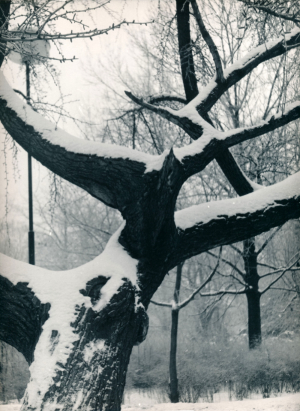 Jan Lauschmann - (1901-1991)