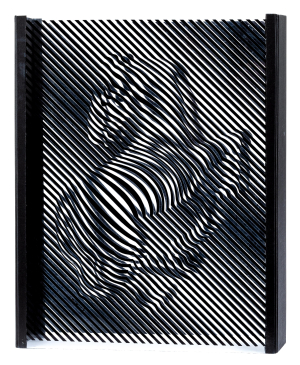 Victor Vasarely